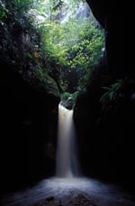 A waterfall in the Wollemi rainforest gorge
