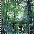 Fact File: Wollemi Pine Postage Stamps